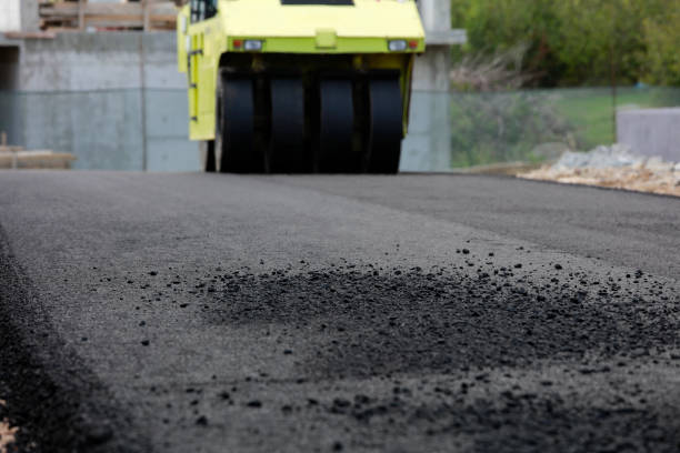 Best Driveway Paving Contractor  in Black Hammock, FL